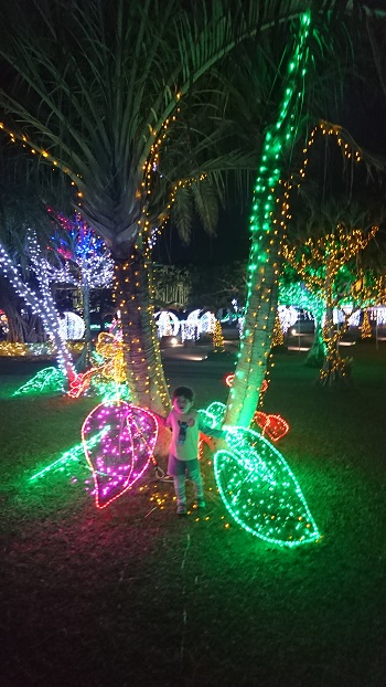 10���E����A���y���̌��̎U�����I